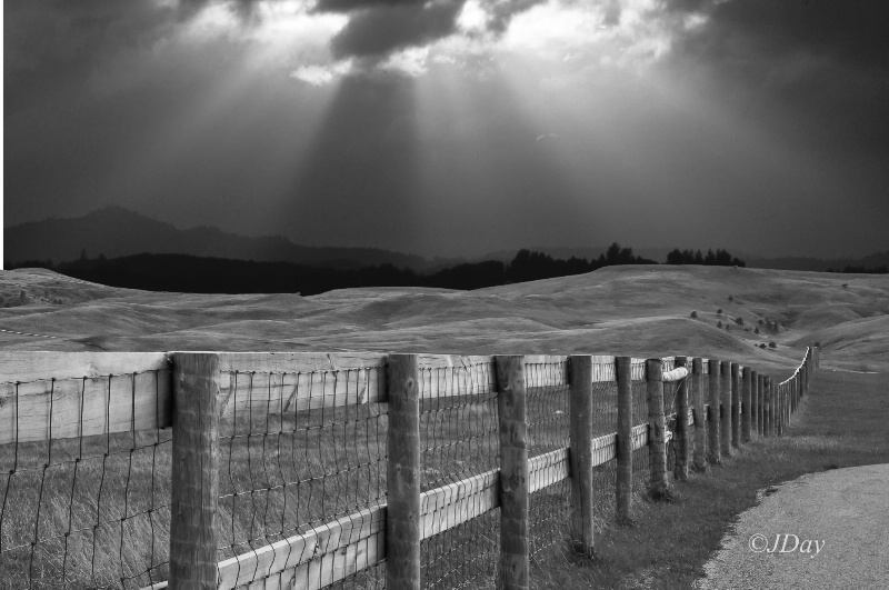 Custer State Park