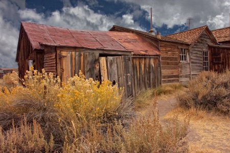 Arrested Decay Bodie