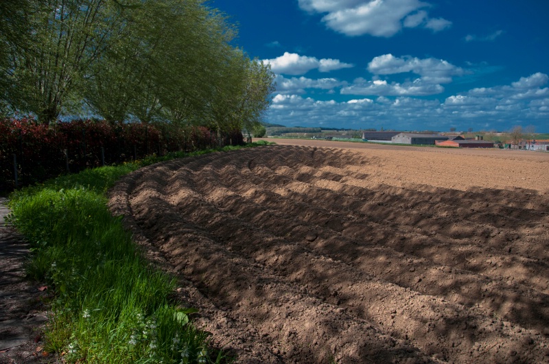 Working in the field