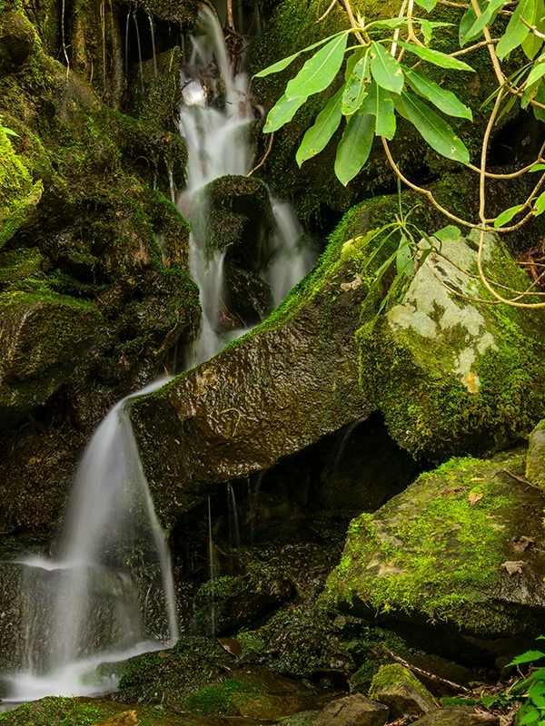 From Out Of The Rocks - ID: 13896162 © Philip B. Ludwig