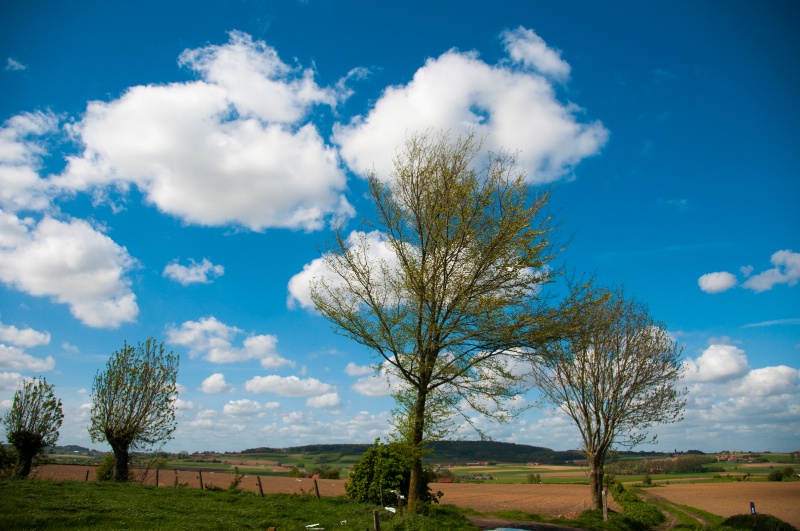 Clouds over the fields