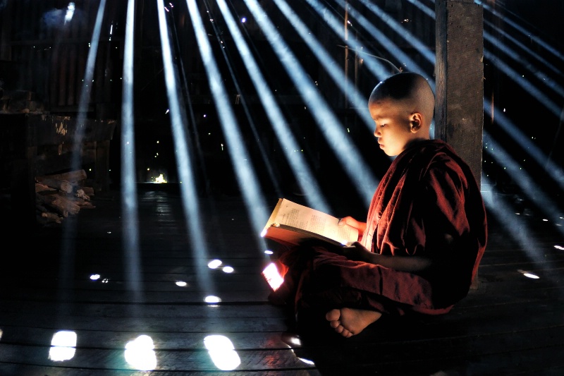 Learning monk.