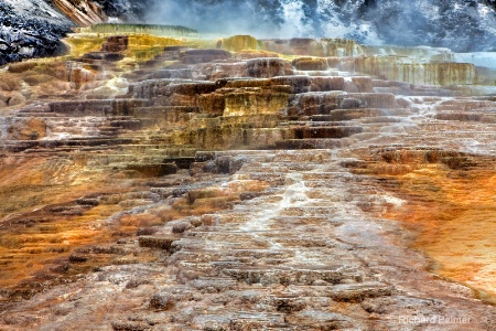 Yellowstone 2239