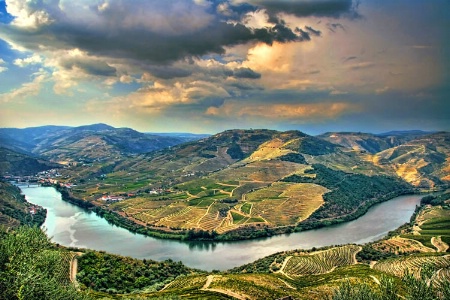 Douro - Port Wine Valley