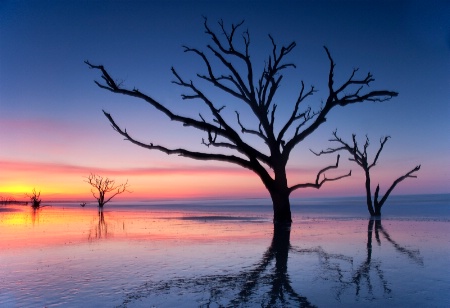 Botany Bay Plantation Boneyard