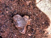 Love, around ever...