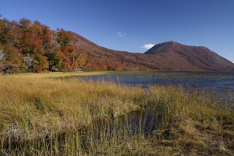 Autumn in Laguna Los Césares