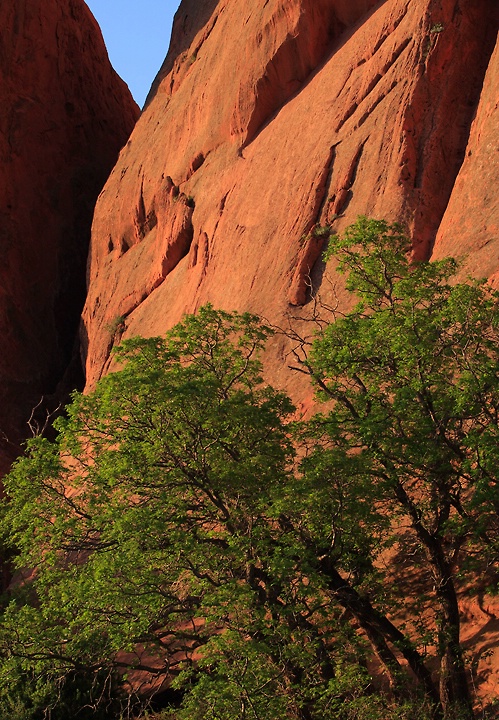 Garden of the Gods Spring