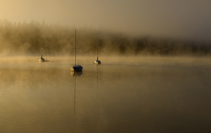 Three Boats II