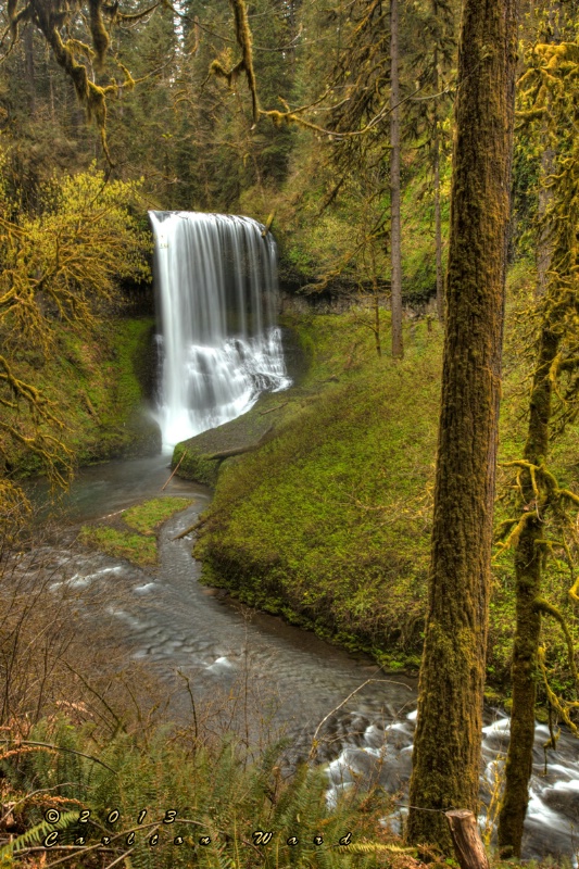 Silver Falls 13 