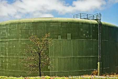 The Water Tower