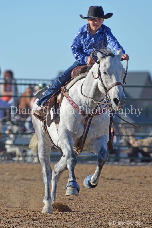 abbie bowthorpe 2013 8 - ID: 13909274 © Diane Garcia