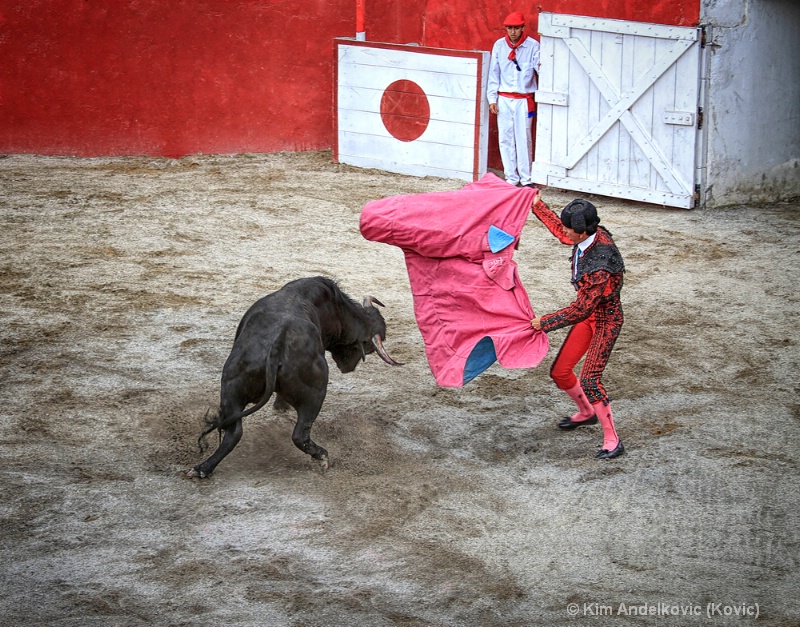Junior Bullfight