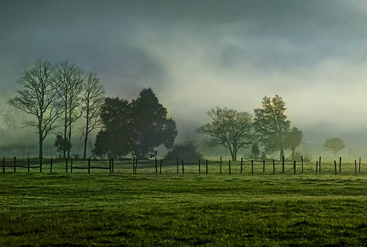 Fog in the Valley