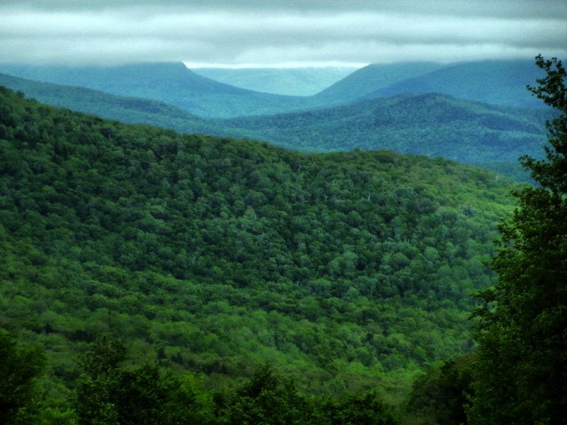 Mountain Layers