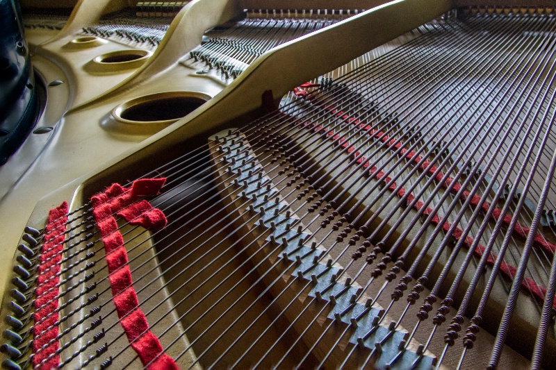 My Piano - ID: 13916816 © Karen Celella