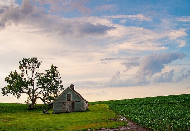 The Barn