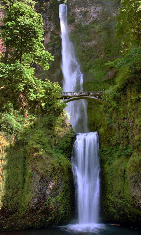 Falls at Multnomah - ID: 13922974 © Clyde Smith
