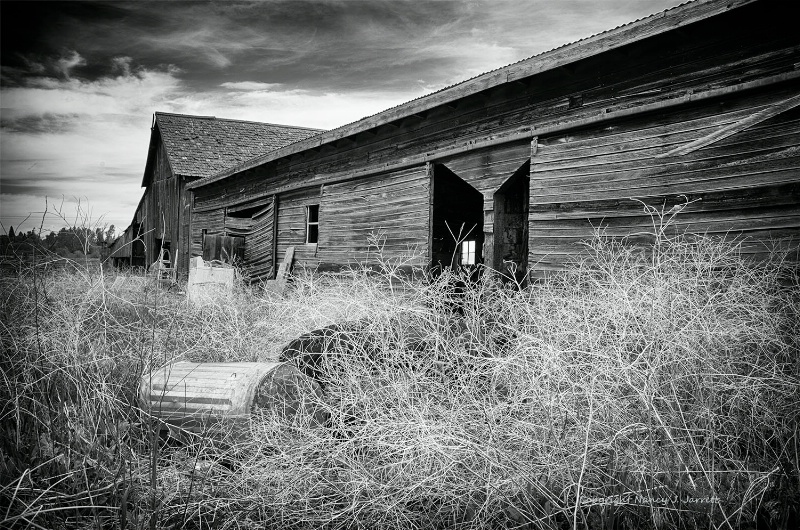 abandoned barn  montana image 5208