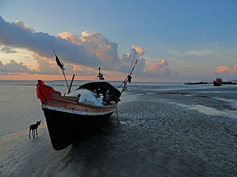 Solitary boat