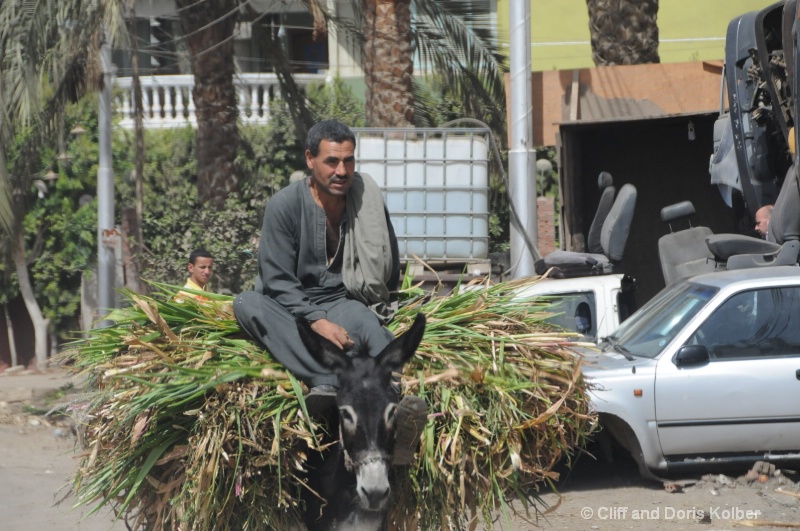 Ride to Market - ID: 13927200 © Cliff Kolber