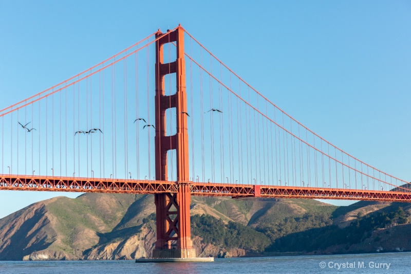 Sectopm of the Golden Gate Bridge