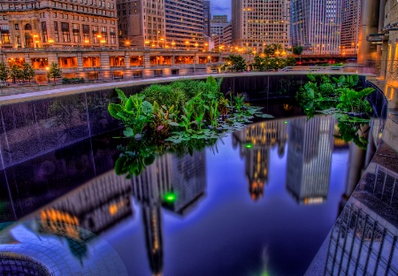 City Reflections