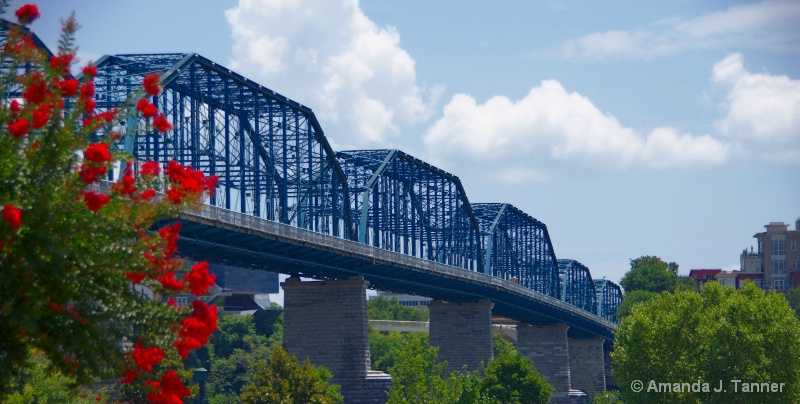 Pedestrain Bridge