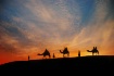 Twilight Magic