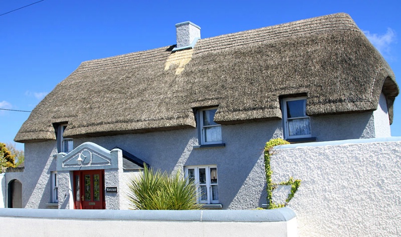 Thatched Roof Home