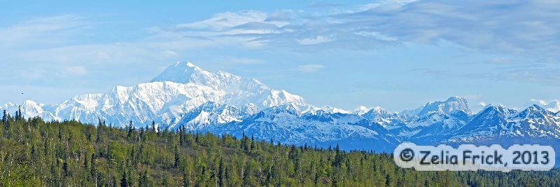 Mount McKinley Morning - ID: 13935993 © Zelia F. Frick