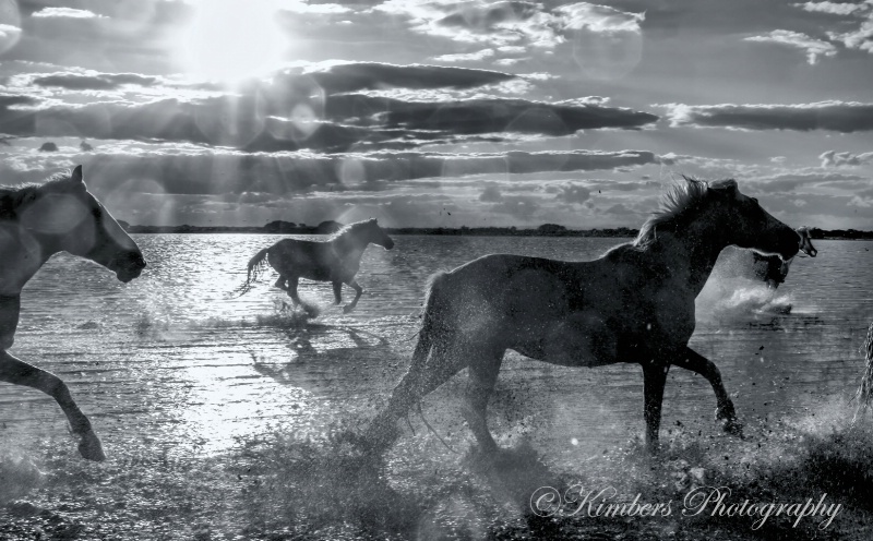 Mud, Splash and Light