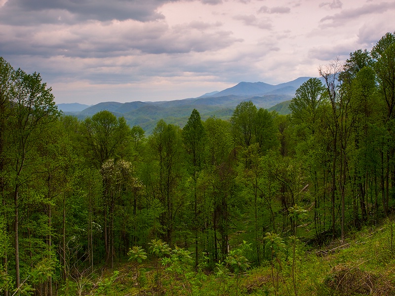 View from Maloney point overlook - ID: 13946083 © Philip B. Ludwig