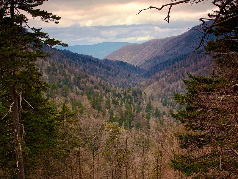The Valley Below - ID: 13946086 © Philip B. Ludwig