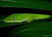 Hide in Plain Sig...