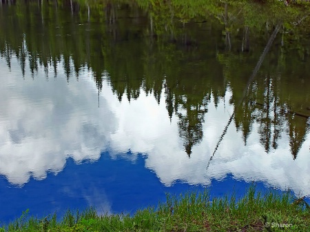 Lake Reflection