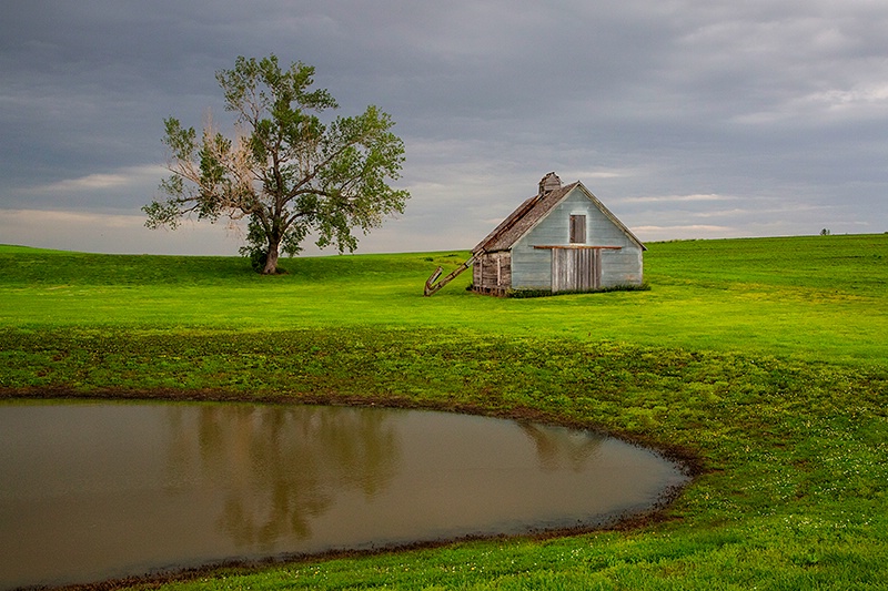 Out in the Country