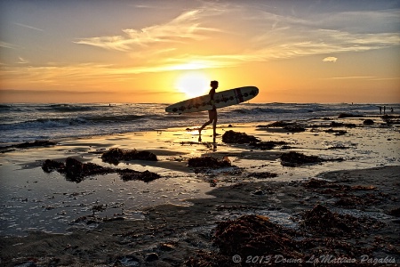 The Lady Longboarder 