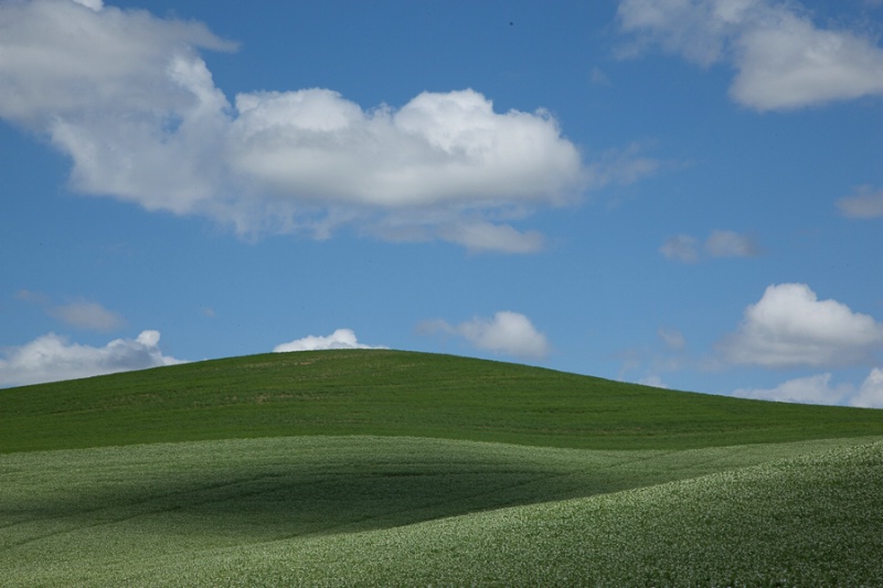 The Palouse