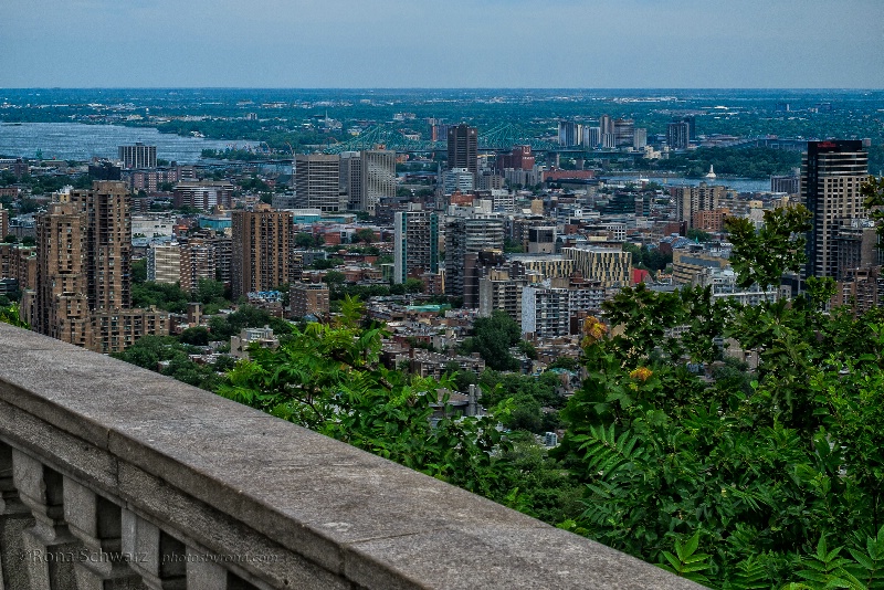 View from Mont Royal