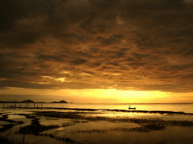 Golden Sunrise