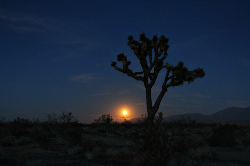 Mojave Desert Supermoon...