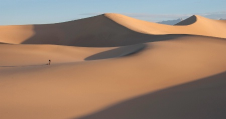 Mesquite isolation