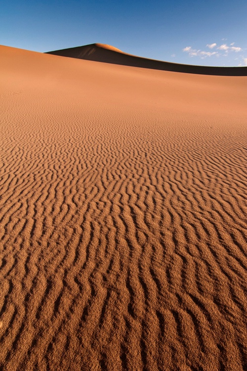 Mesquite dunes waves