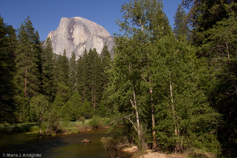 Yosemite 2013