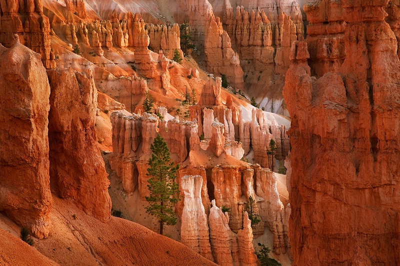 Hoodoos