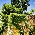 © JudyAnn Rector PhotoID# 13953907: Abandoned