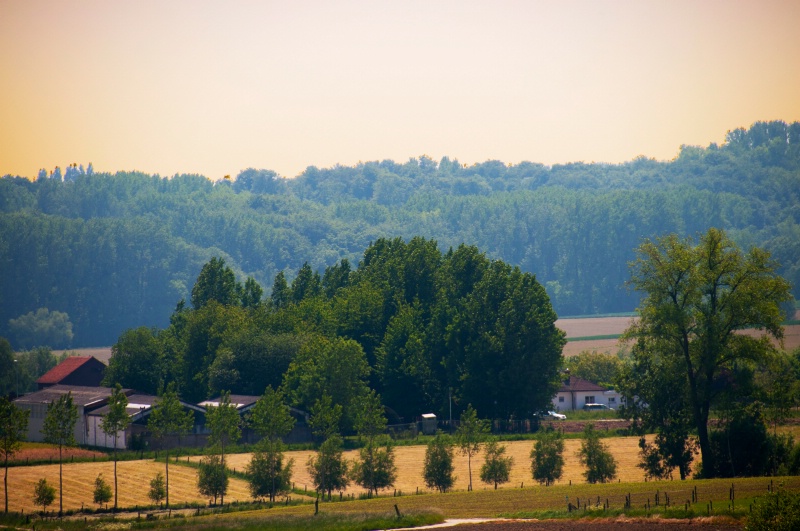 Landscape in Belgium