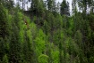 High Country Flie...