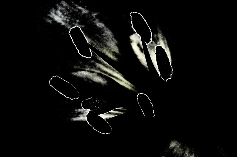 img7